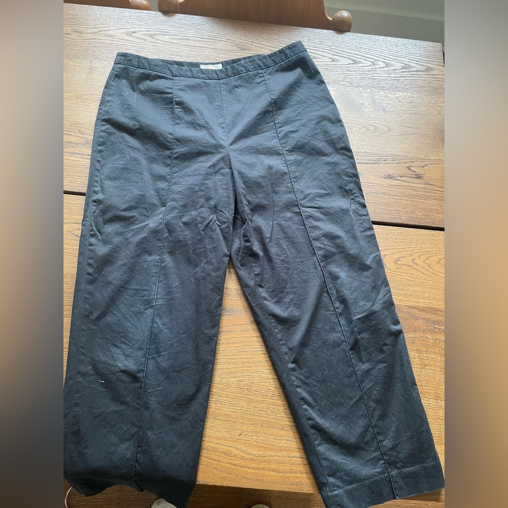 Talbots Ankle Pants with Piping
